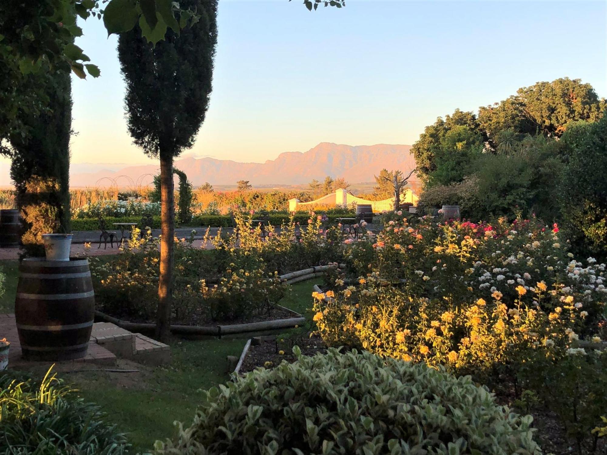 Bakenhof Winelands Lodge Paarl Exterior foto